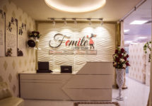 Femite_Interior_03